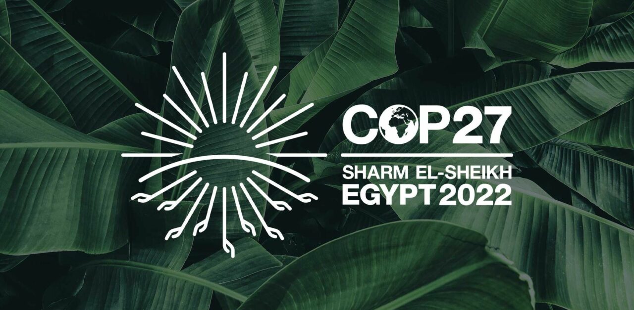 green4T en la COP27: compromiso renovado con la sostenibilidad