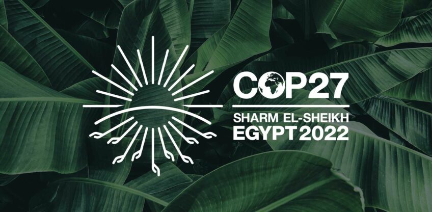 green4T na COP27: compromisso renovado com a sustentabilidade